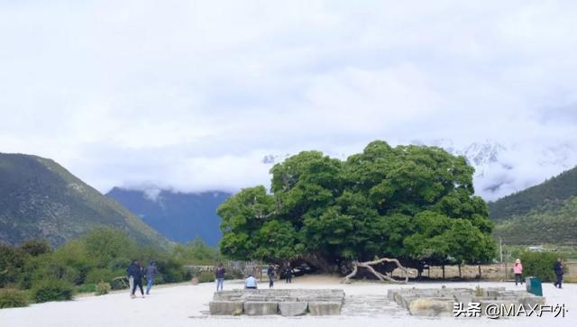 һ������Ҫȥ����һ�� | ����ϸ������֮��-24.jpg