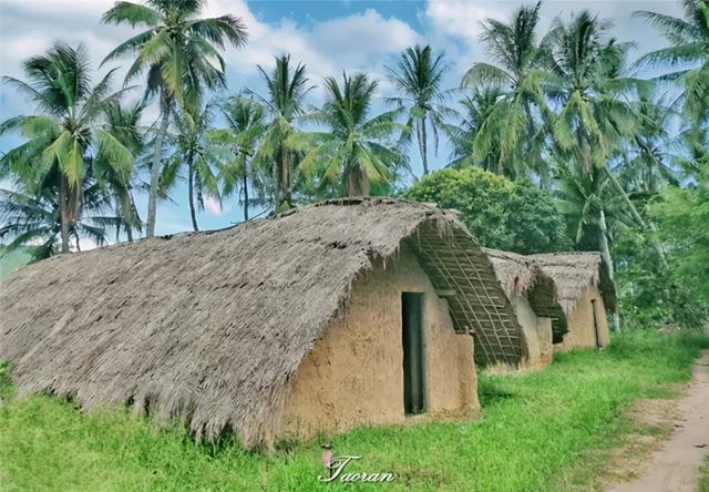 ��ѱ��� ���ܳ齱�����ϣ��������������г����л����μ�-19.jpg