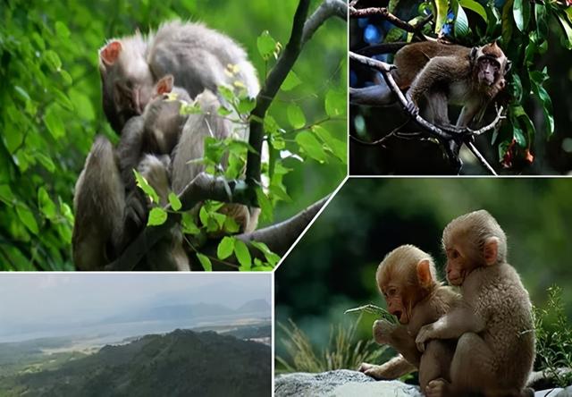 ��ѱ��� ���ܳ齱�����ϣ��������������г����л����μ�-14.jpg