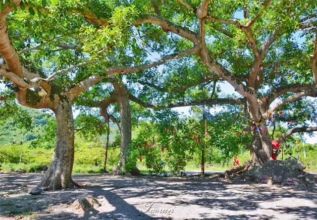 ��ѱ��� ���ܳ齱�����ϣ��������������г����л����μ�-20.jpg