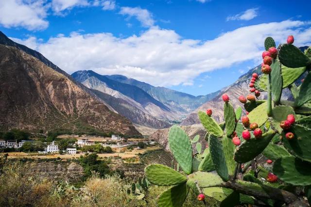 �ڳ������� �ء�����족�����õ�·������֮��-17.jpg