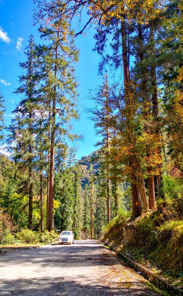 �ڳ������� �ء�����족�����õ�·������֮��-22.jpg