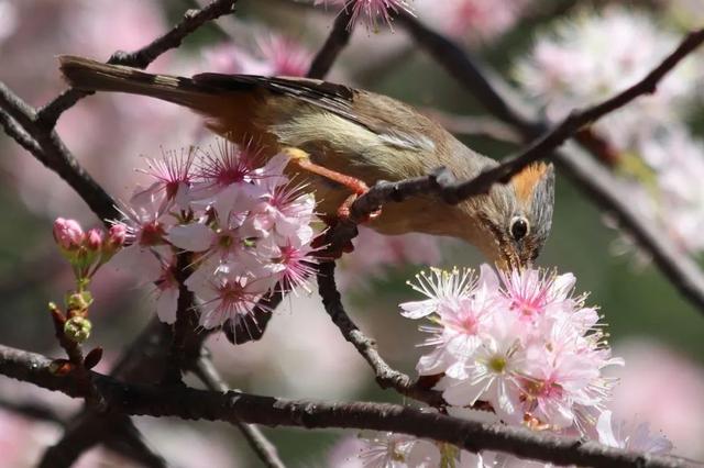 �ڳ������� �ء�����족�����õ�·������֮��-31.jpg