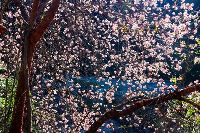 �ڳ������� �ء�����족�����õ�·������֮��-30.jpg