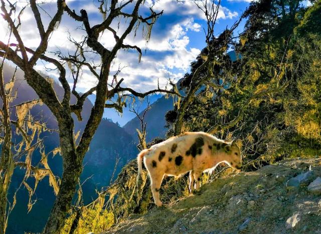 �ڳ������� �ء�����족�����õ�·������֮��-32.jpg