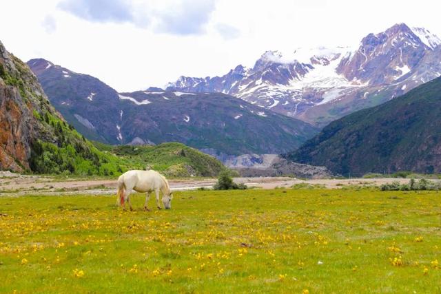 �ڳ������� �ء�����족�����õ�·������֮��-37.jpg