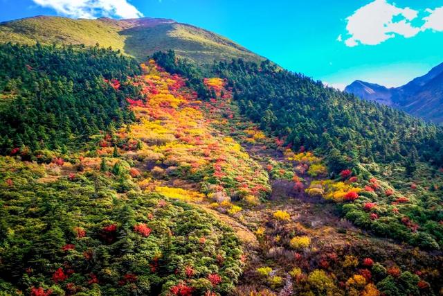 �ڳ������� �ء�����족�����õ�·������֮��-50.jpg