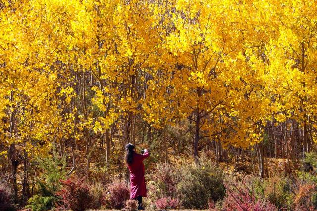 �ڳ������� �ء�����족�����õ�·������֮��-53.jpg