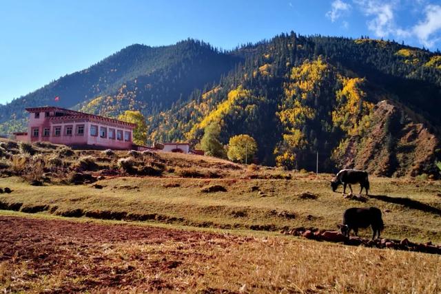 �ڳ������� �ء�����족�����õ�·������֮��-57.jpg