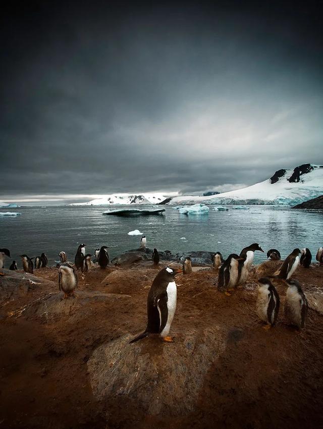 ��Ӱ���˹�����ˣ�2020 IPA ������Ӱ���������-20.jpg