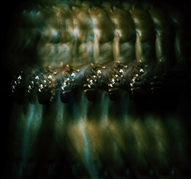 ��Ӱ���˹�����ˣ�2020 IPA ������Ӱ���������-63.jpg