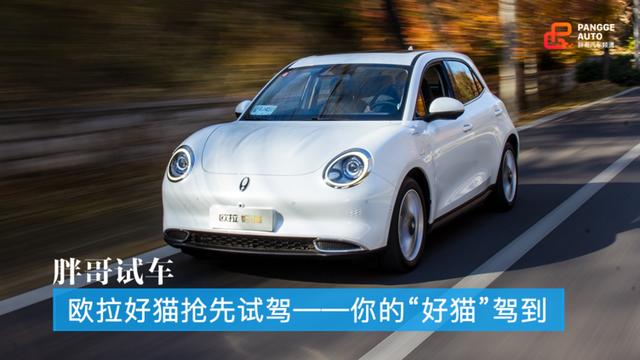 ŷ����è�����Լ� ��ġ���è���ݵ�-1.jpg