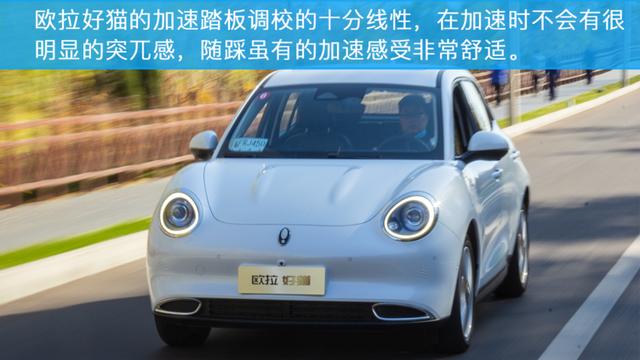 ŷ����è�����Լ� ��ġ���è���ݵ�-21.jpg