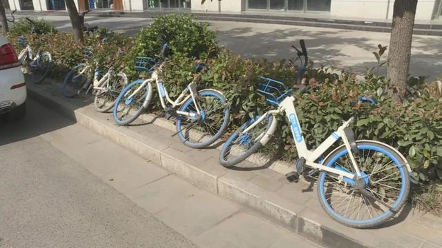 11��24���� ��μ�����Թ�����������ר�������ж�-2.jpg