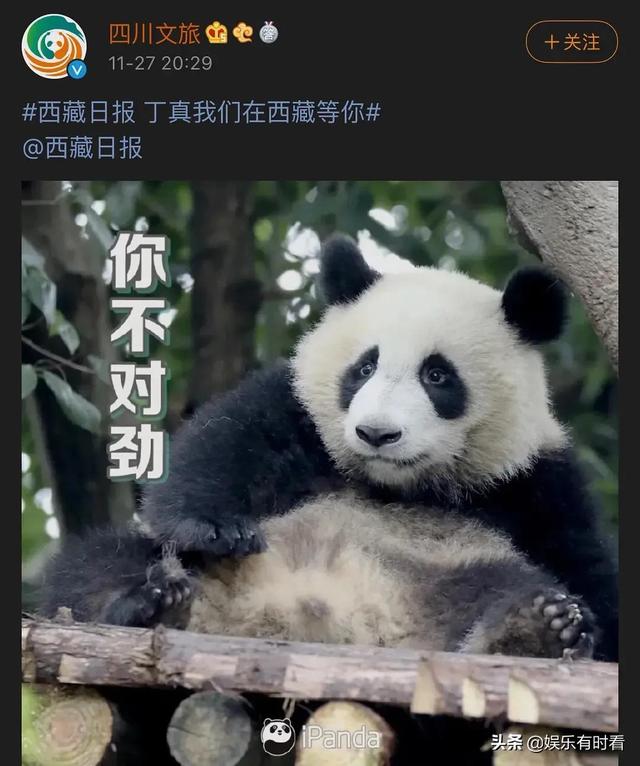 #�������ᶡ��Battle# ��������������ս������ʼĩ-16.jpg