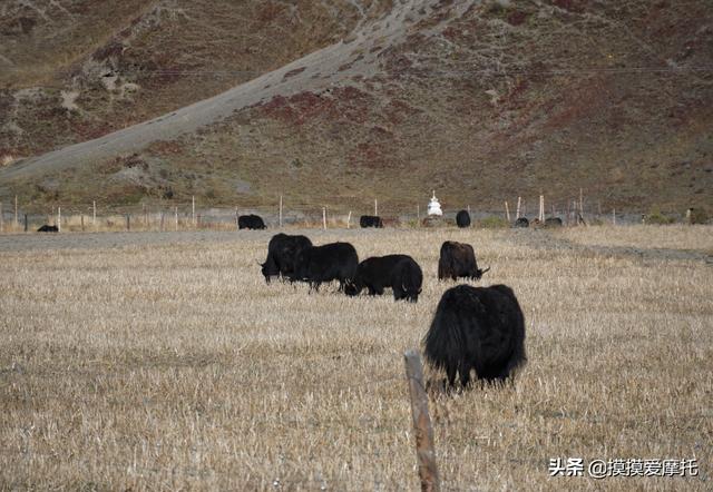 ������ȥĦ�� | ��ȥ�������¶��ţ�����һ��ȥ��������-50.jpg