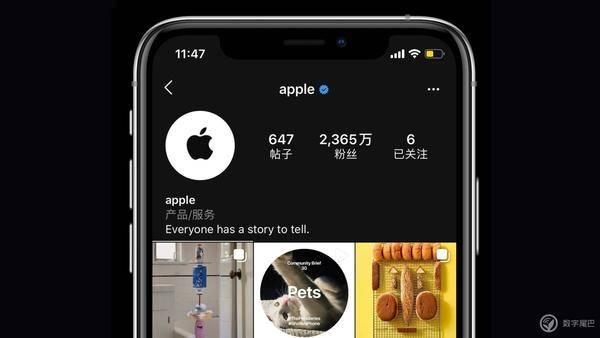 ���絽����iPhone 12 Pro ϵ����Ӱָ��-24.jpg