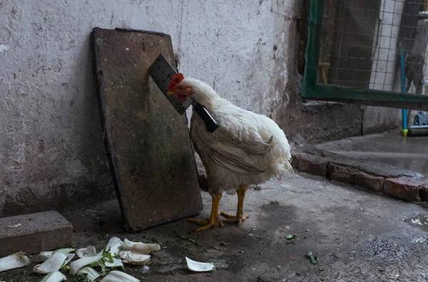 ���絽����iPhone 12 Pro ϵ����Ӱָ��-32.jpg