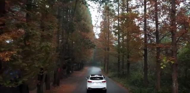 ������ô��WEY VV5��������ǿ���������Ϊ��ð����-2.jpg