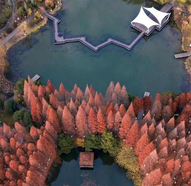 ������������Ŧչ���� | ��Ӱ������ͼ��-9.jpg