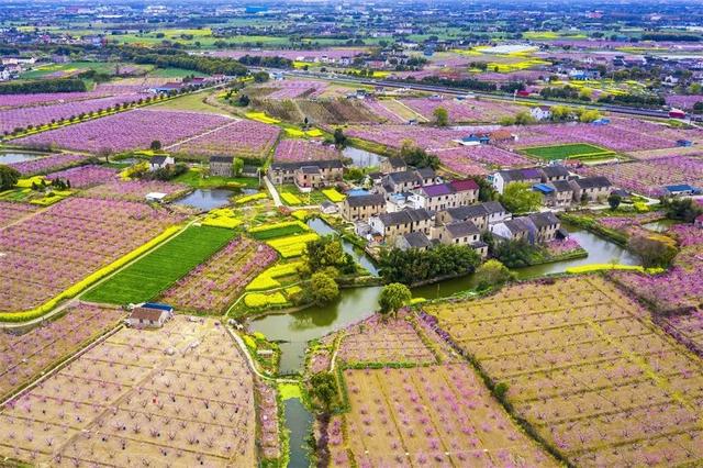 ������������Ŧչ���� | ��Ӱ������ͼ��-14.jpg