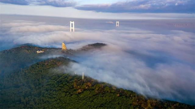 ������������Ŧչ���� | ��Ӱ������ͼ��-22.jpg