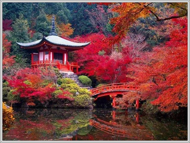 太美了！地球上最美的100张照片-19.jpg