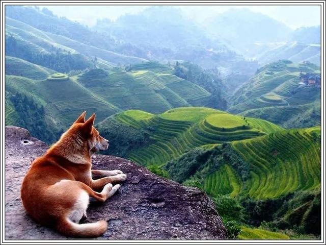 太美了！地球上最美的100张照片-32.jpg