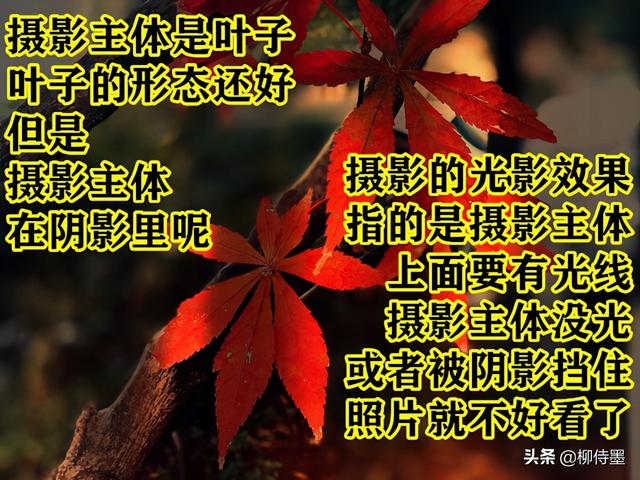 ƬܡϹġѧ5ռɣӰƷ-12.jpg