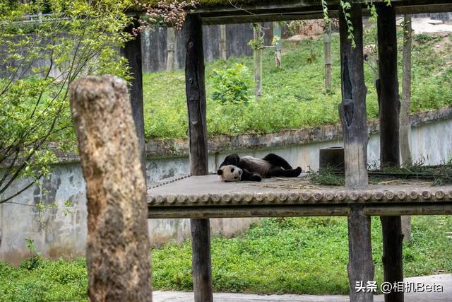 ����G318һ·���� ����LUMIX S5�����-5.jpg