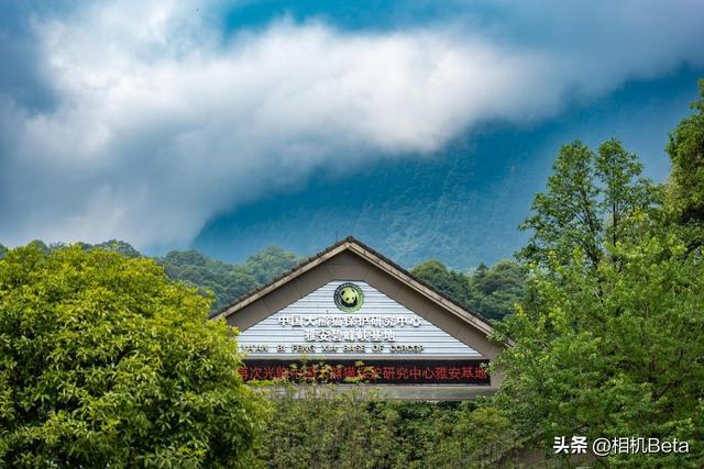 ����G318һ·���� ����LUMIX S5�����-4.jpg