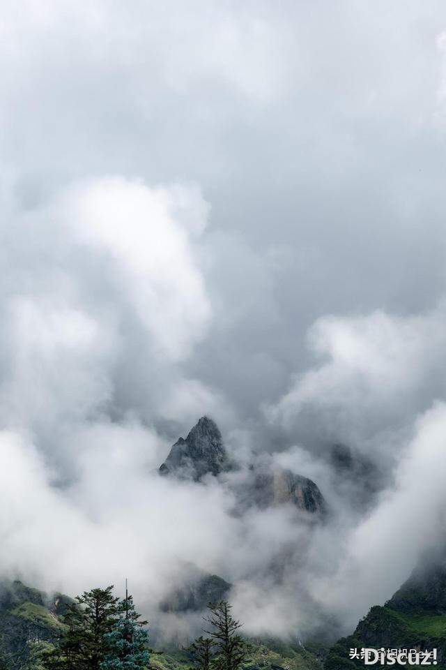 ����G318һ·���� ����LUMIX S5�����-9.jpg