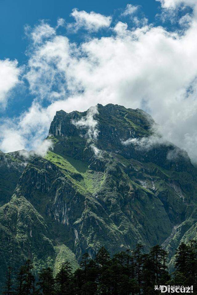 ����G318һ·���� ����LUMIX S5�����-8.jpg