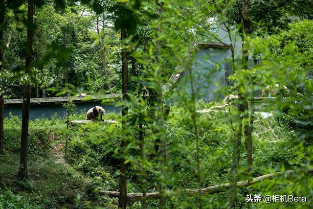 ����G318һ·���� ����LUMIX S5�����-6.jpg