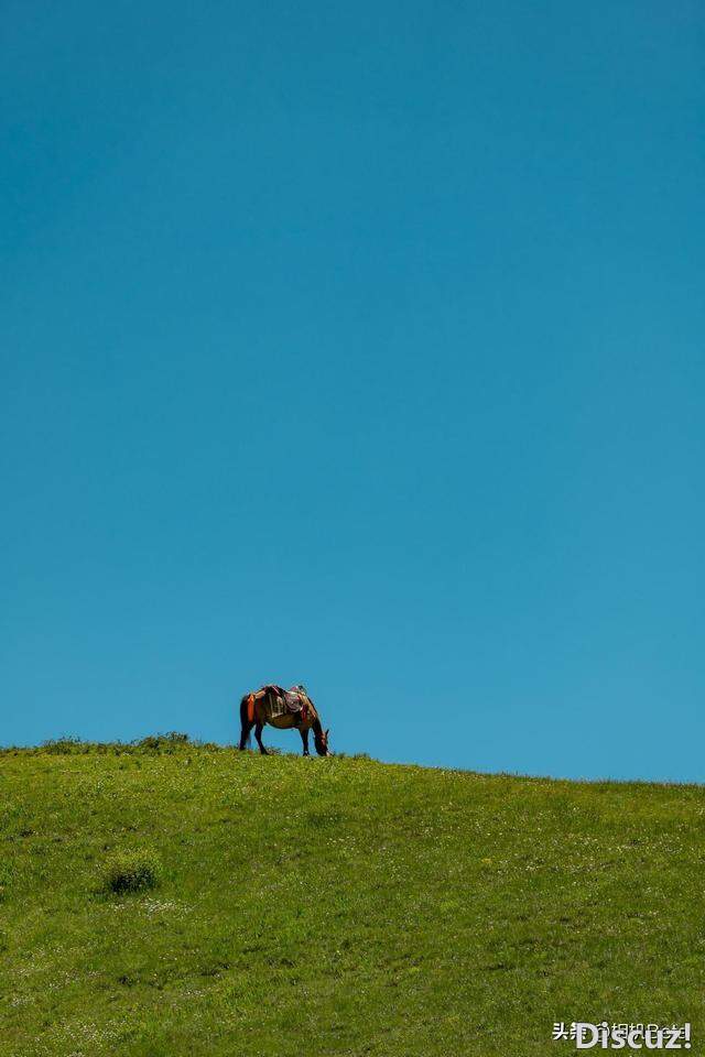 ����G318һ·���� ����LUMIX S5�����-15.jpg