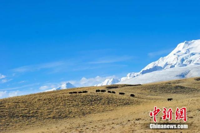 ����һ���� һ��Ҫ����ȥһ������-3.jpg