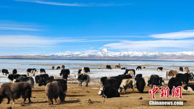 ����һ���� һ��Ҫ����ȥһ������-24.jpg