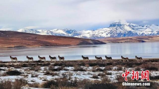 ����һ���� һ��Ҫ����ȥһ������-25.jpg