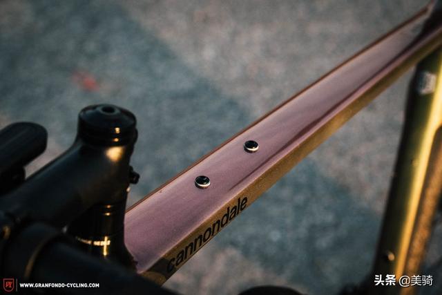 ��ý���� 2022��Cannondale Synapse������·��-12.jpg