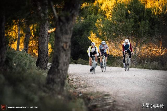 ��ý���� 2022��������19����ʯ���г�-11.jpg