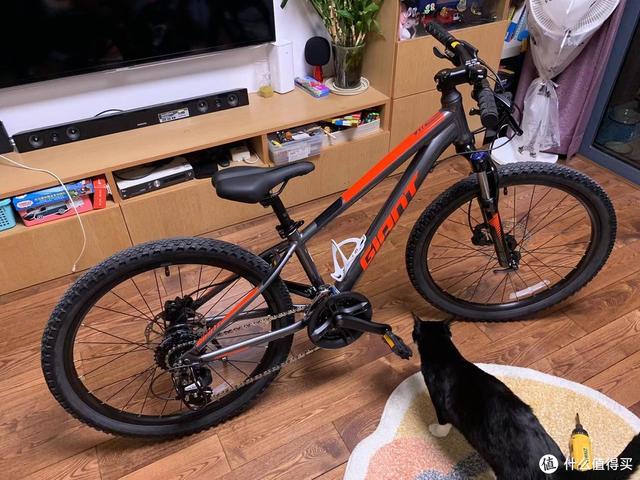 ʡǮķʽʵһλGIANT XTC 24г-9.jpg