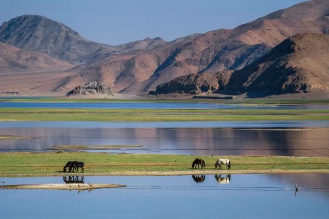 ɫ ֮²߽صһվҲĶ999ΰɣ-2.jpg