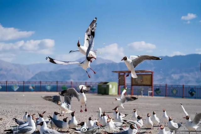 ɫ ֮²߽صһվҲĶ999ΰɣ-6.jpg