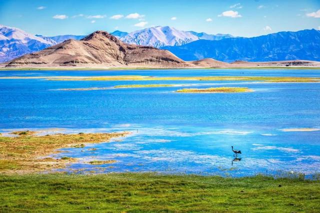 ɫ ֮²߽صһվҲĶ999ΰɣ-8.jpg