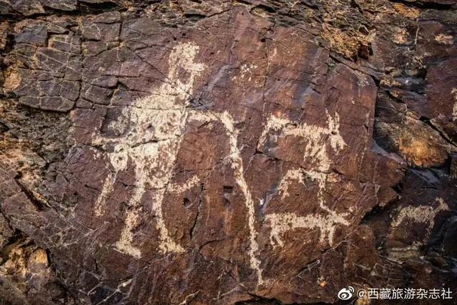 ɫ ֮²߽صһվҲĶ999ΰɣ-12.jpg