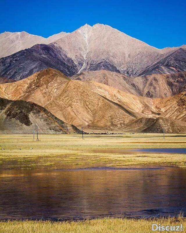 ɫ ֮²߽صһվҲĶ999ΰɣ-10.jpg