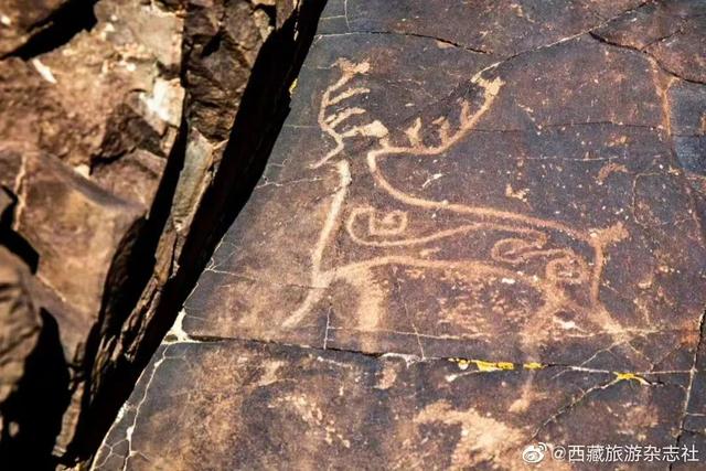 ɫ ֮²߽صһվҲĶ999ΰɣ-13.jpg