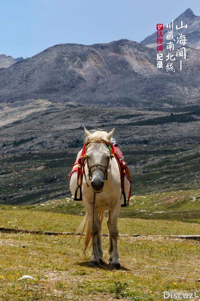 16�죬8500�����Խ�����ߣ��ص���Ĺ��� | ��ý���¼Ƭ-6.jpg