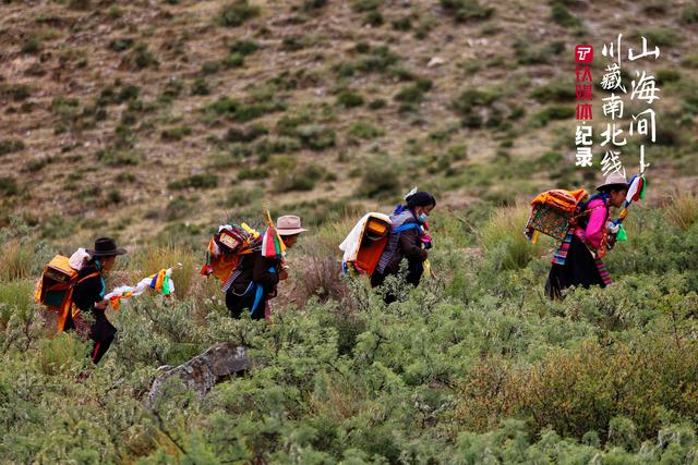 16�죬8500�����Խ�����ߣ��ص���Ĺ��� | ��ý���¼Ƭ-39.jpg