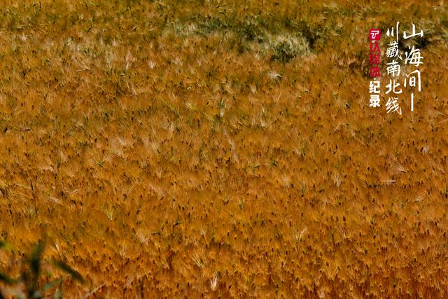 16�죬8500�����Խ�����ߣ��ص���Ĺ��� | ��ý���¼Ƭ-46.jpg